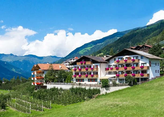 3 SterneHotel Grafenau